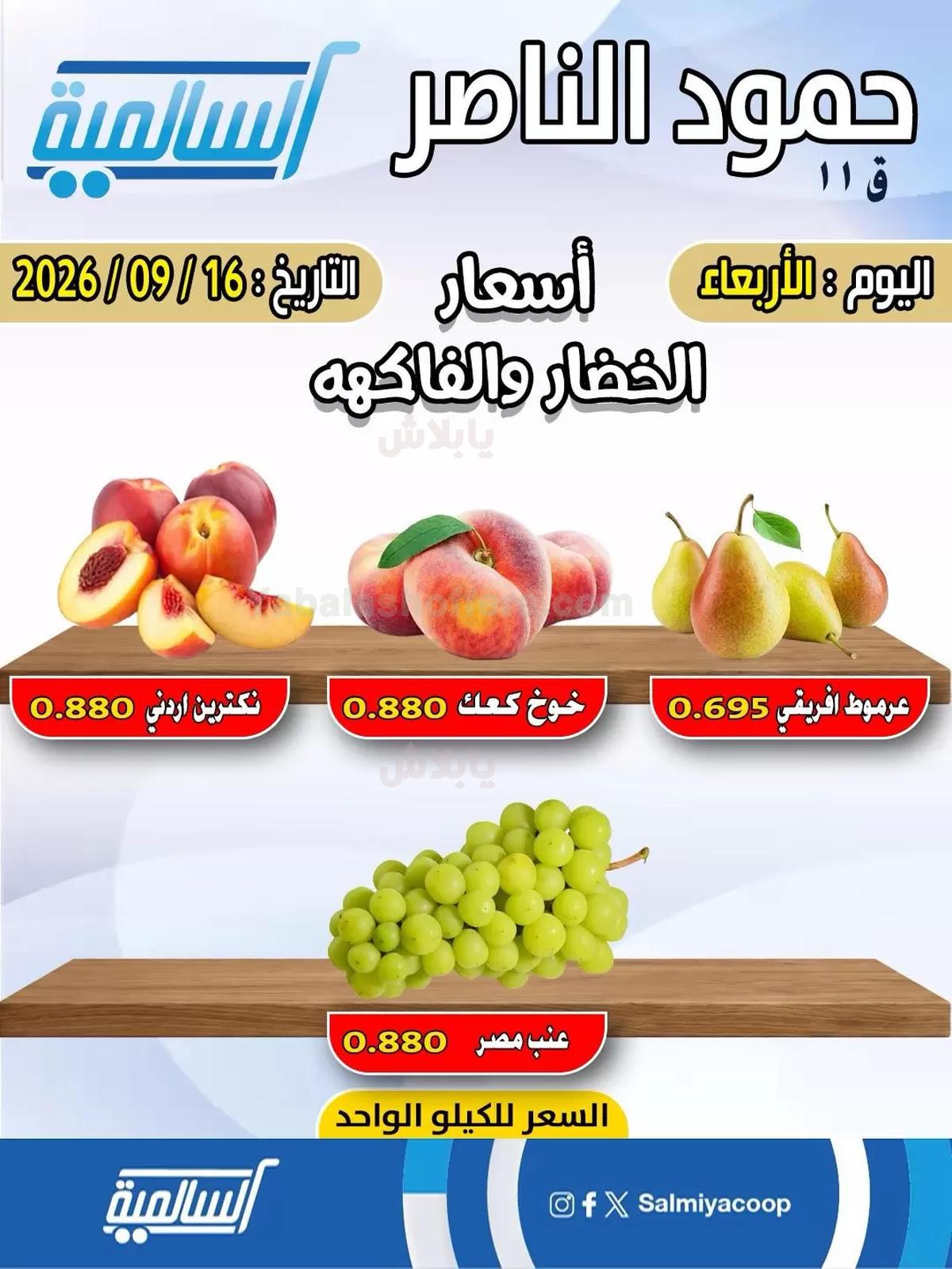 صفحة 3