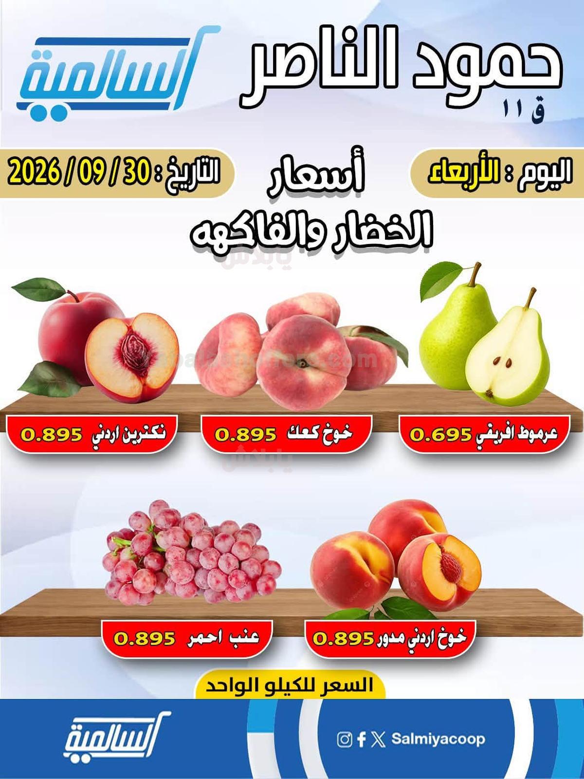 صفحة 3
