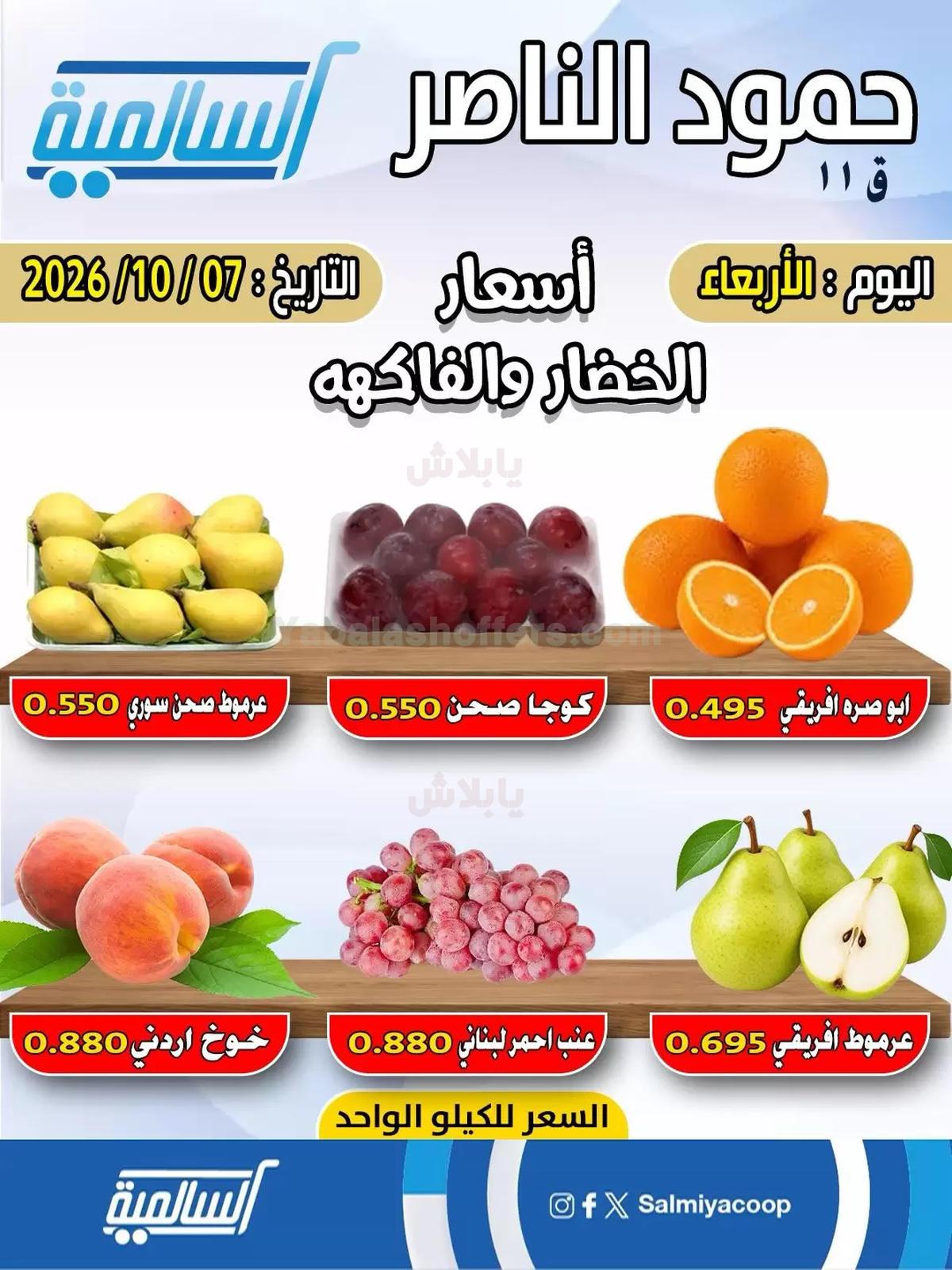 صفحة 2