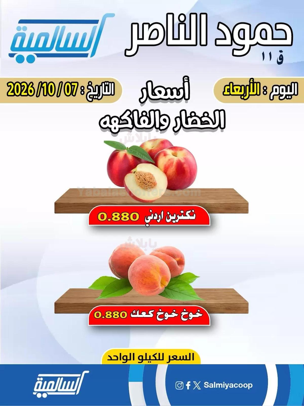 صفحة 3