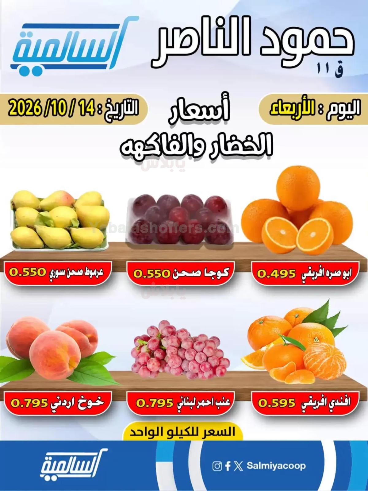صفحة 2