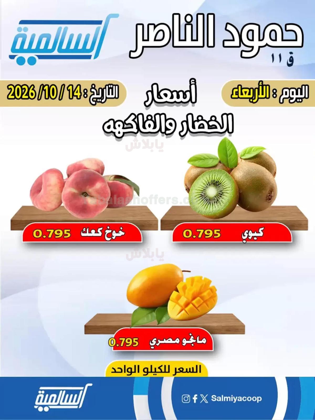 صفحة 3