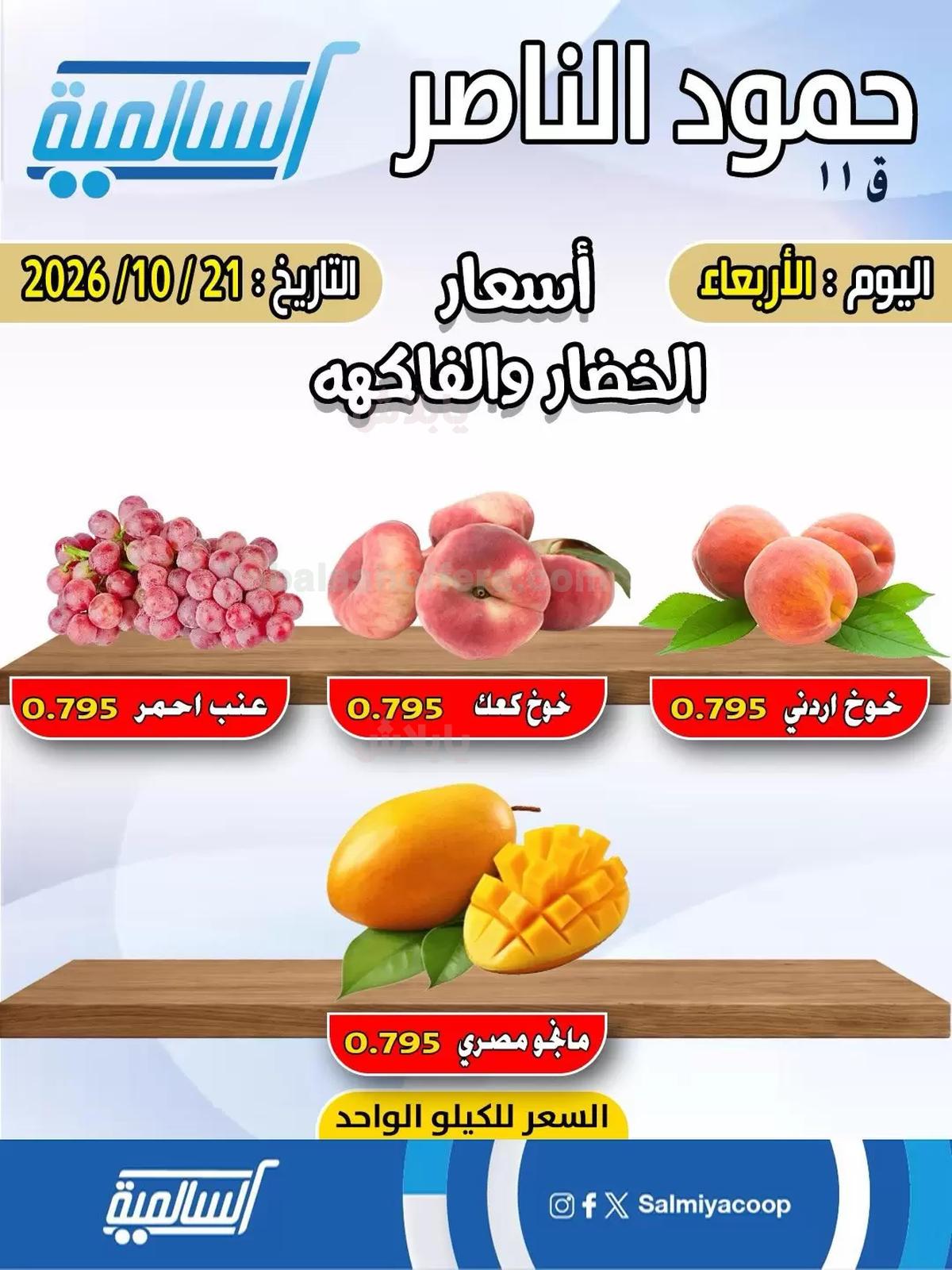 صفحة 3