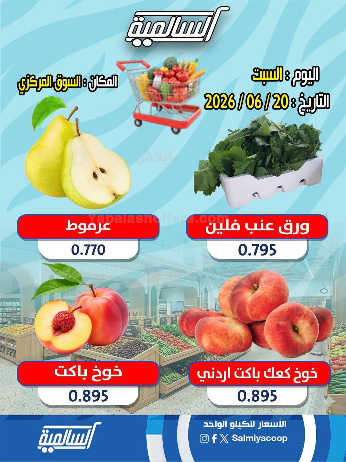 صفحة 4