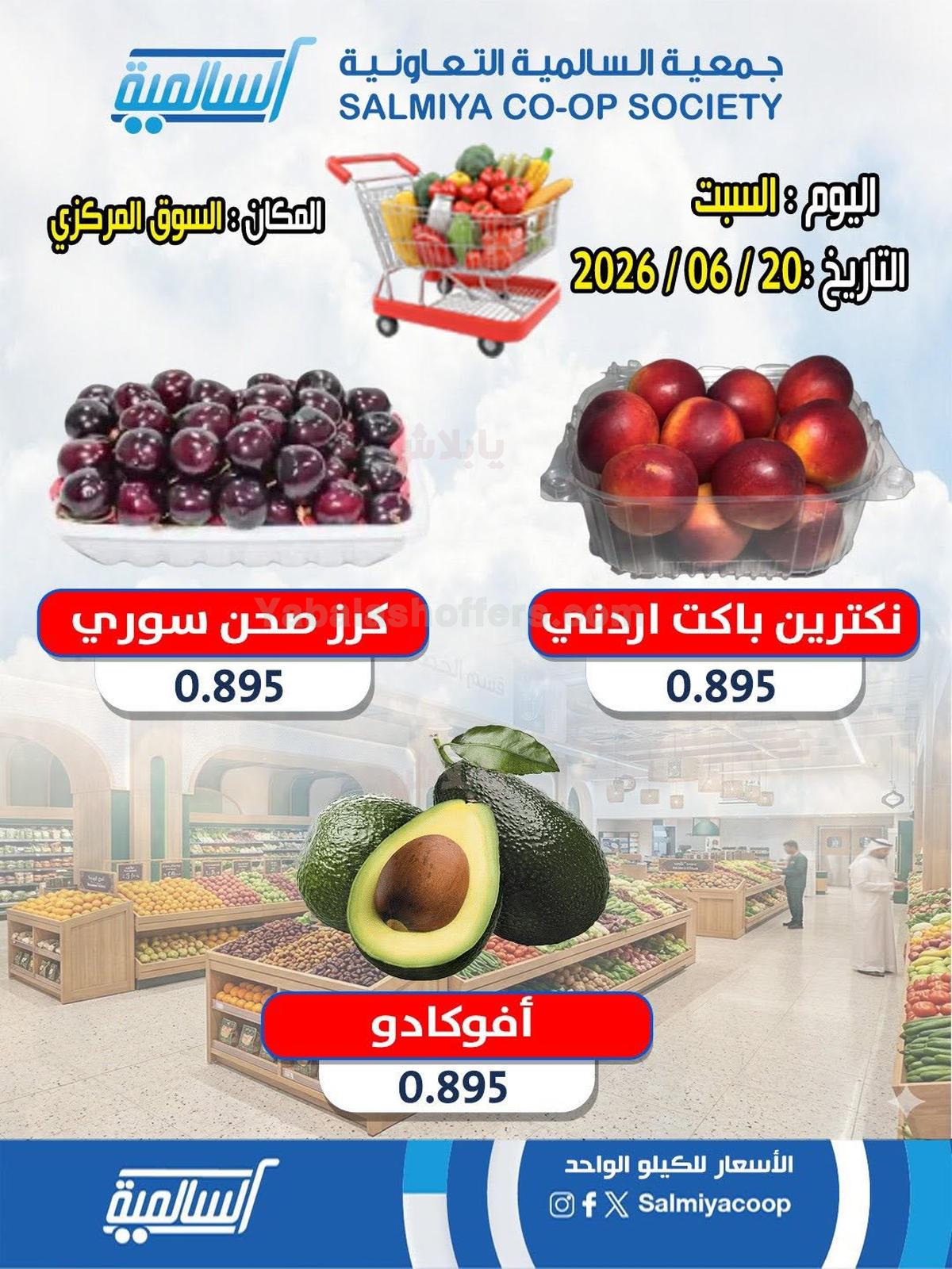 صفحة 5