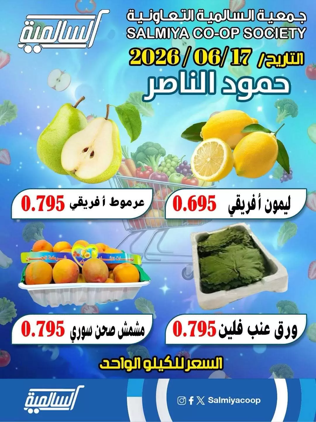 صفحة 3
