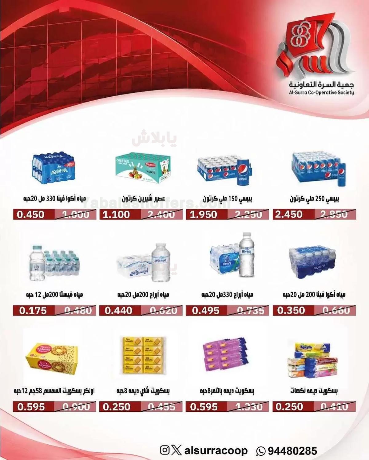 صفحة 17