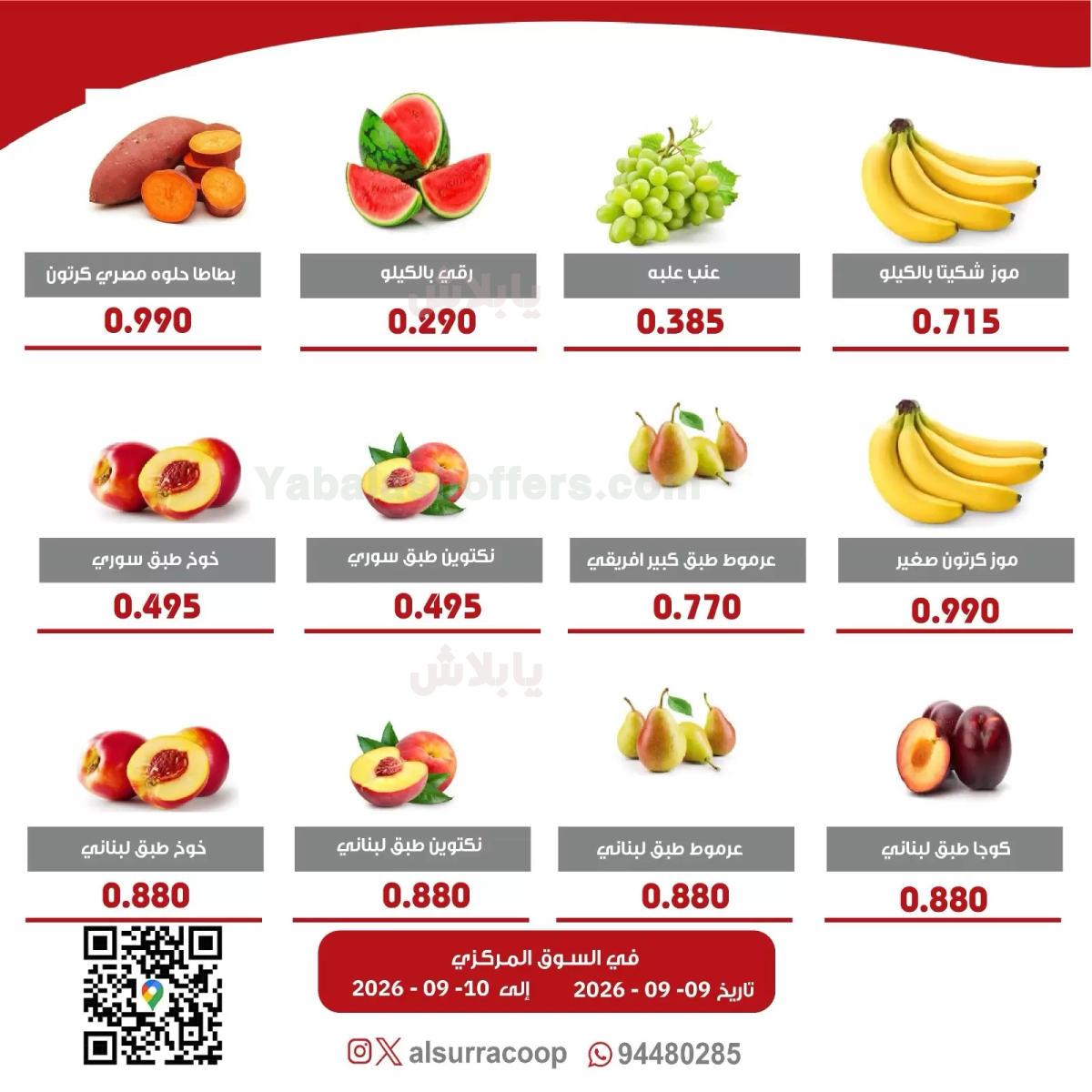 صفحة 3