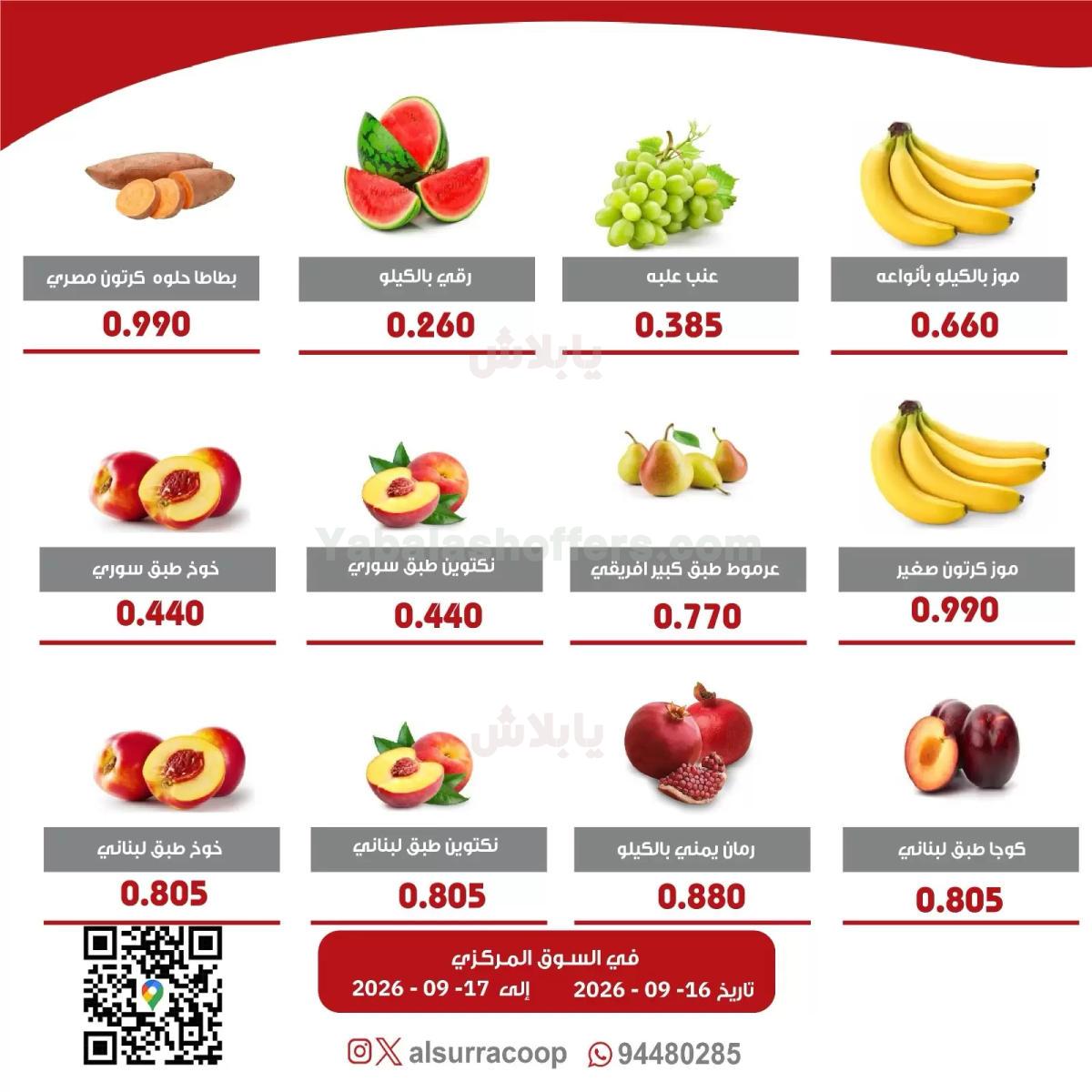 صفحة 3