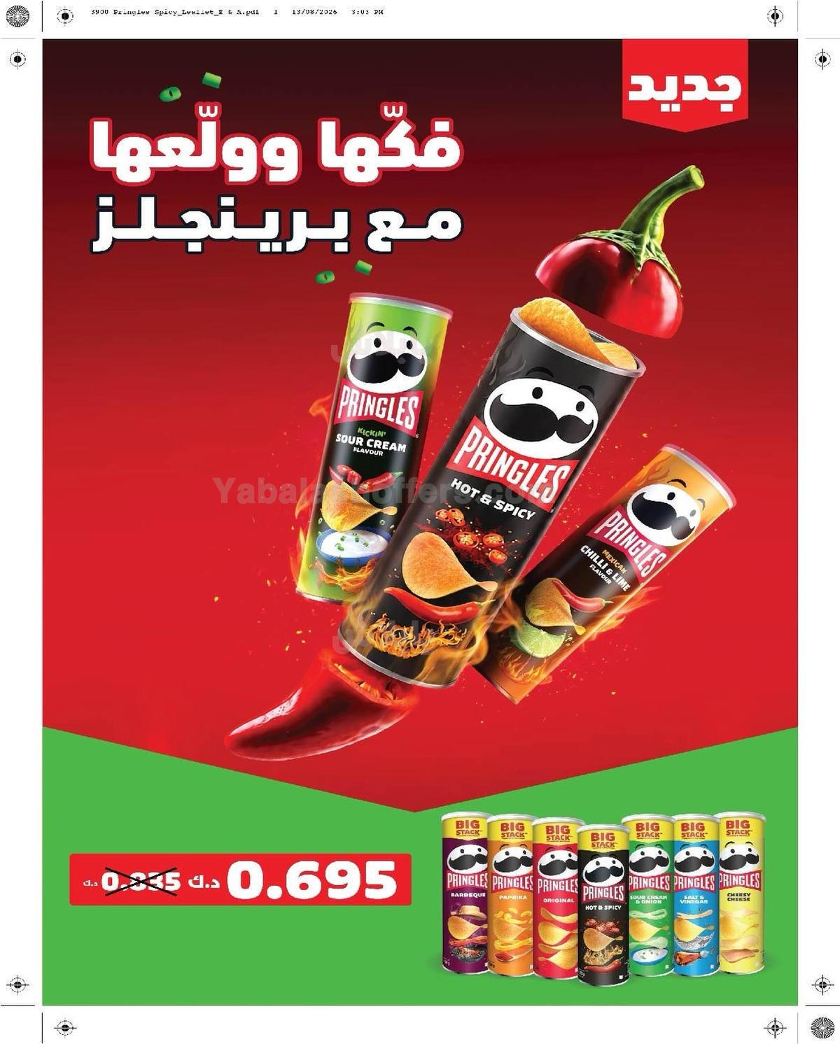 صفحة 13