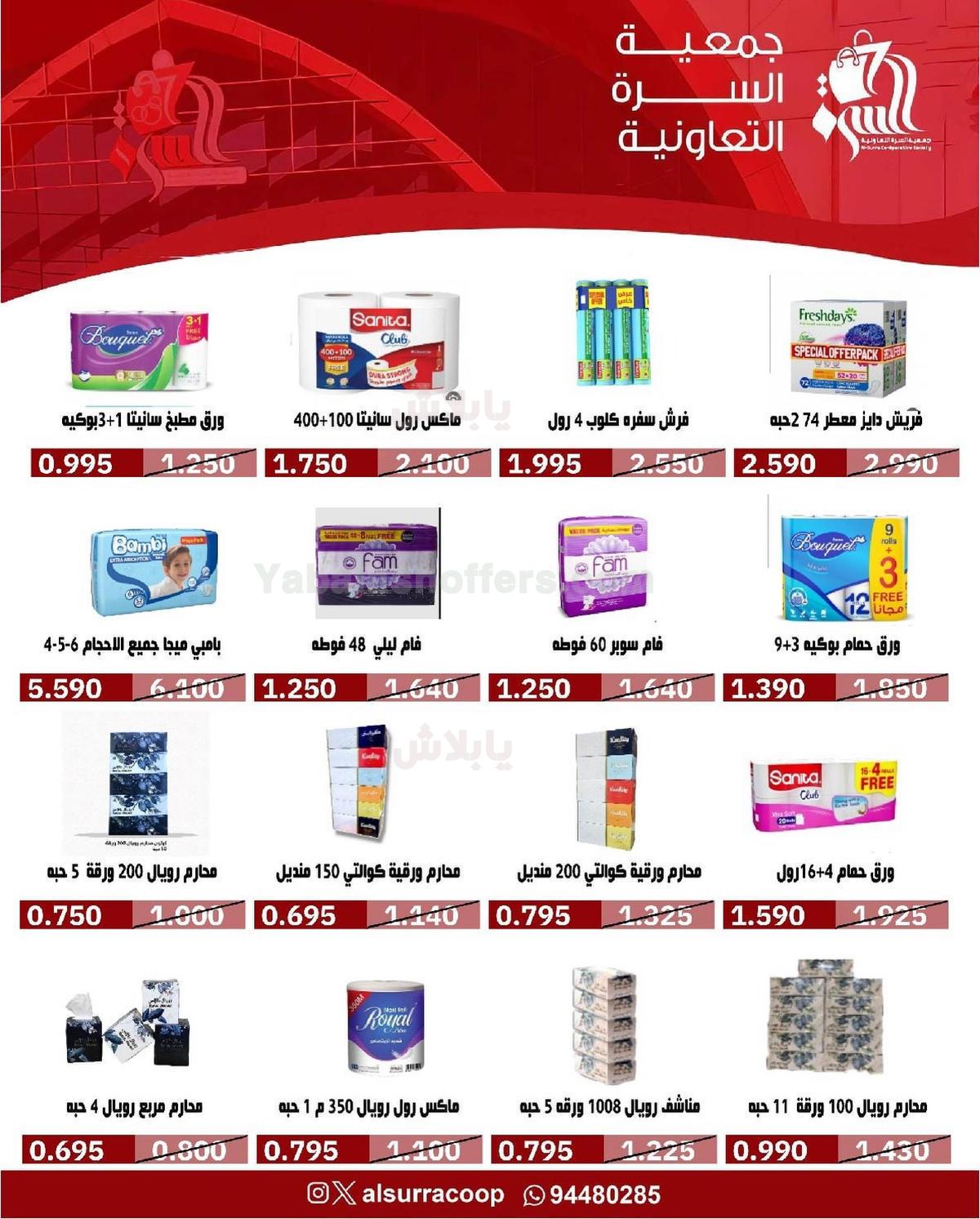 صفحة 17