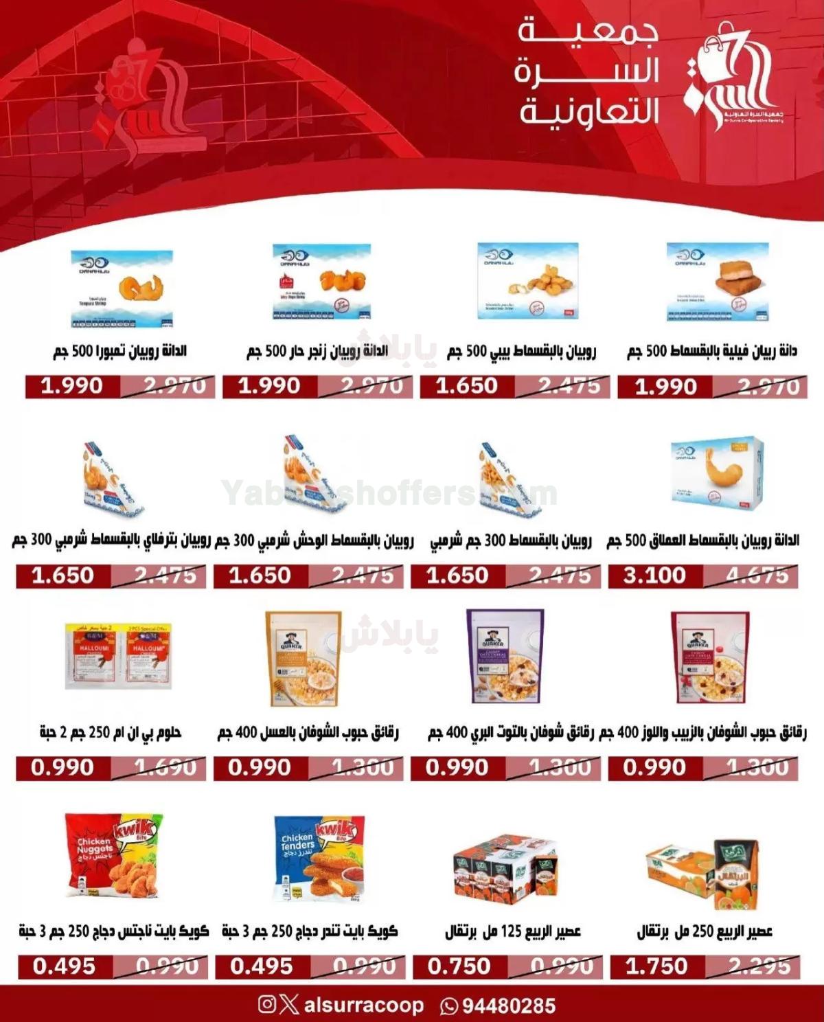 صفحة 13