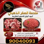 صفحة 11