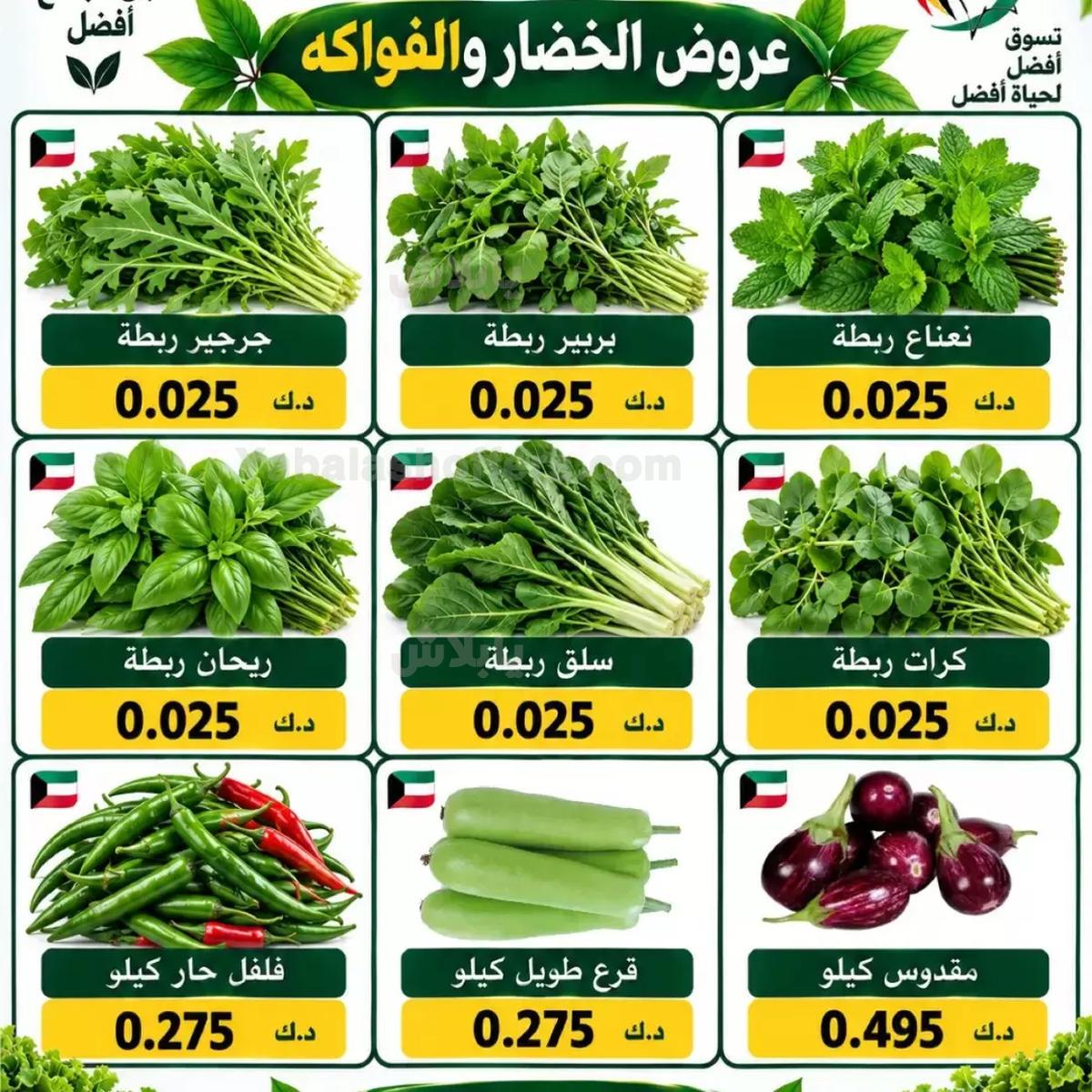 صفحة 2