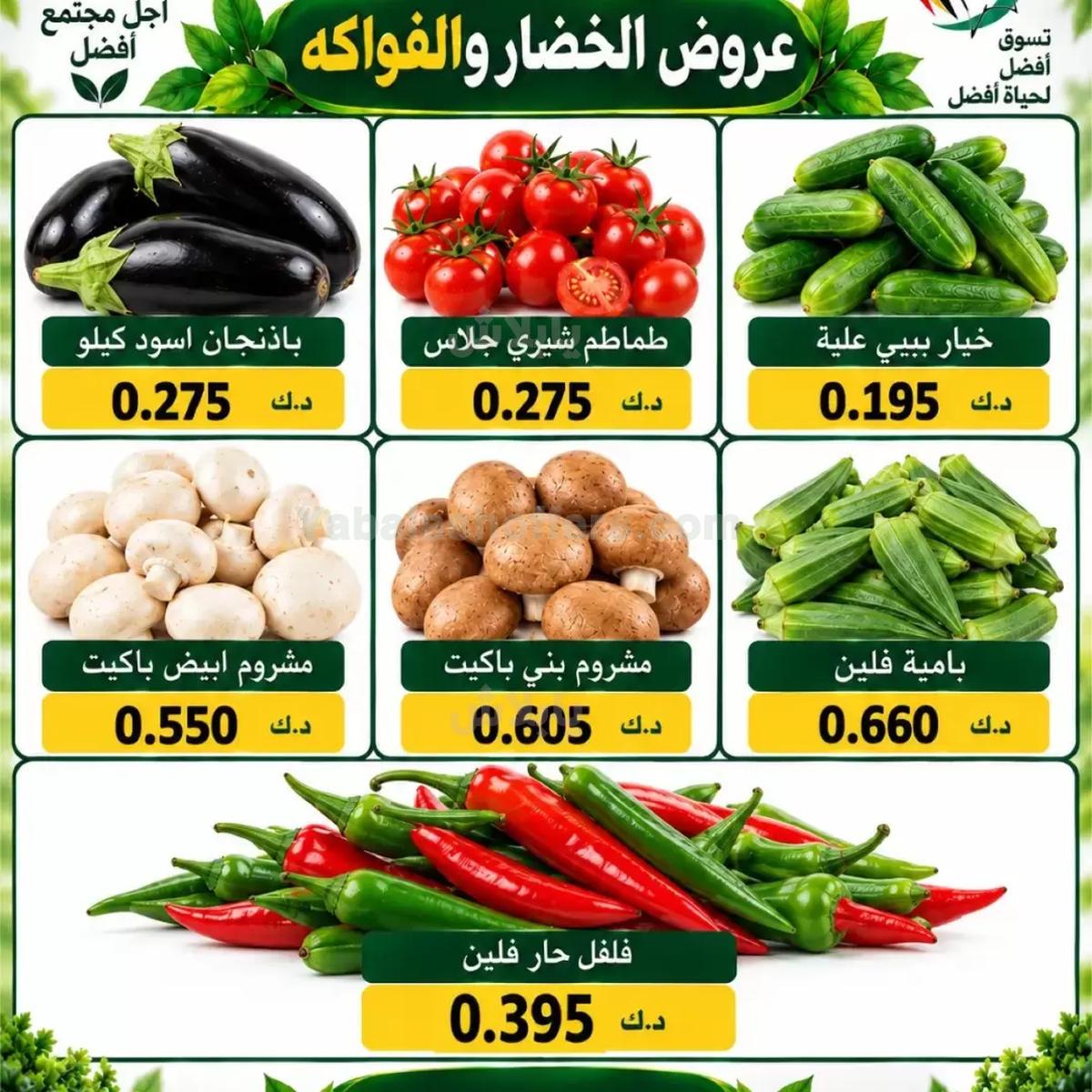 صفحة 3