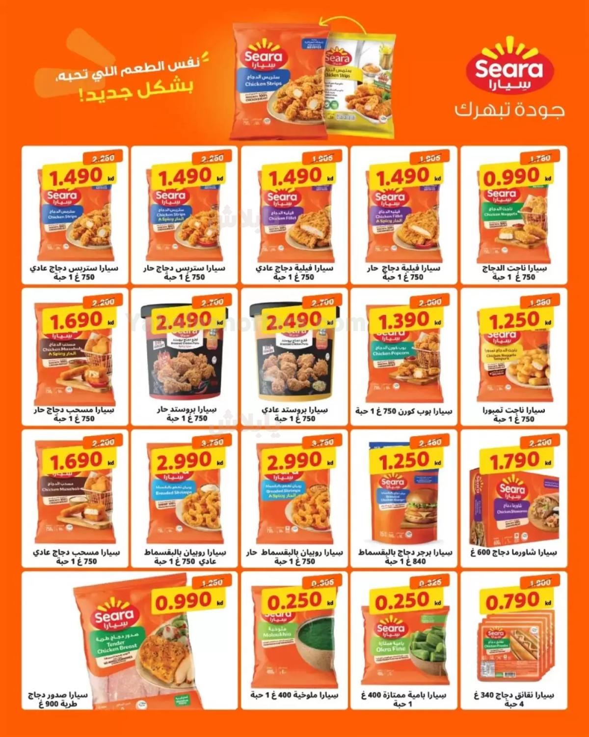 صفحة 4