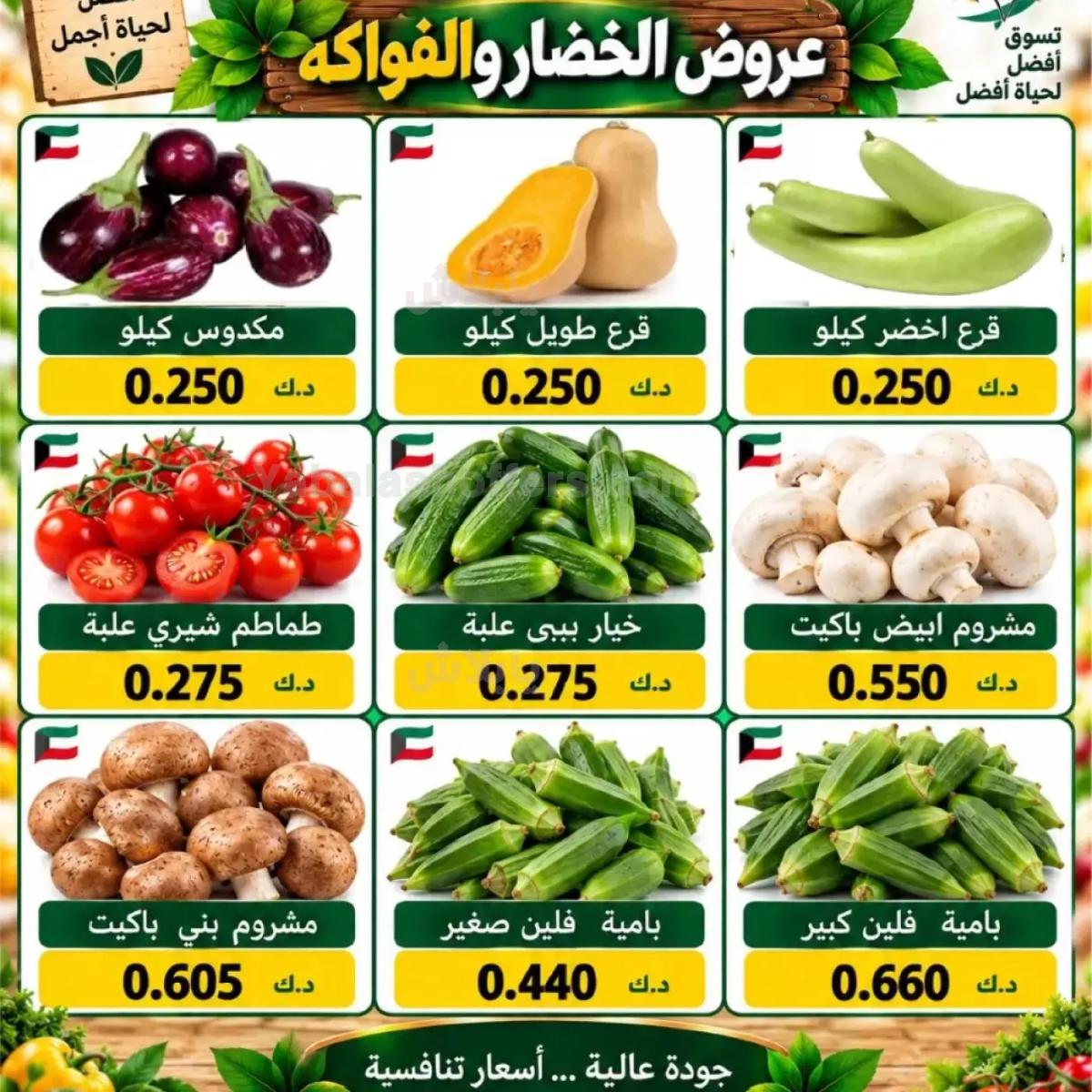 صفحة 3