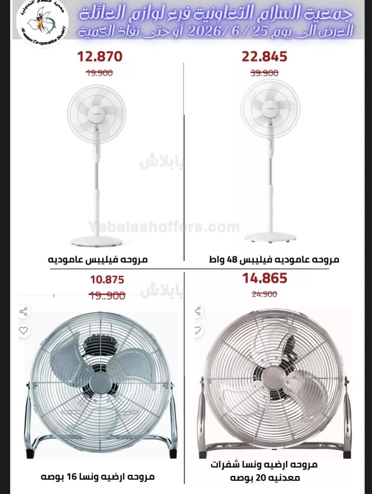 صفحة 4