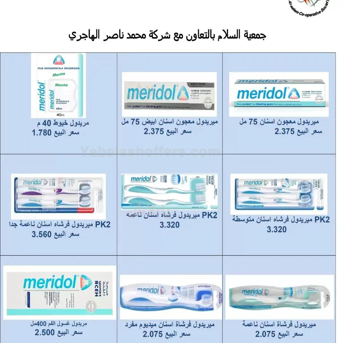 صفحة 17
