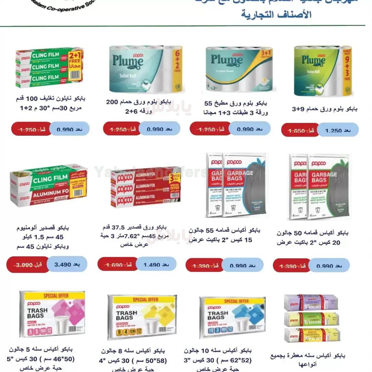 صفحة 19