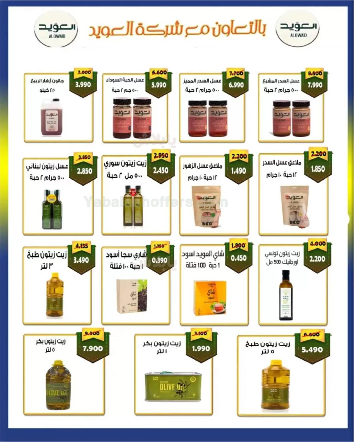 صفحة 3