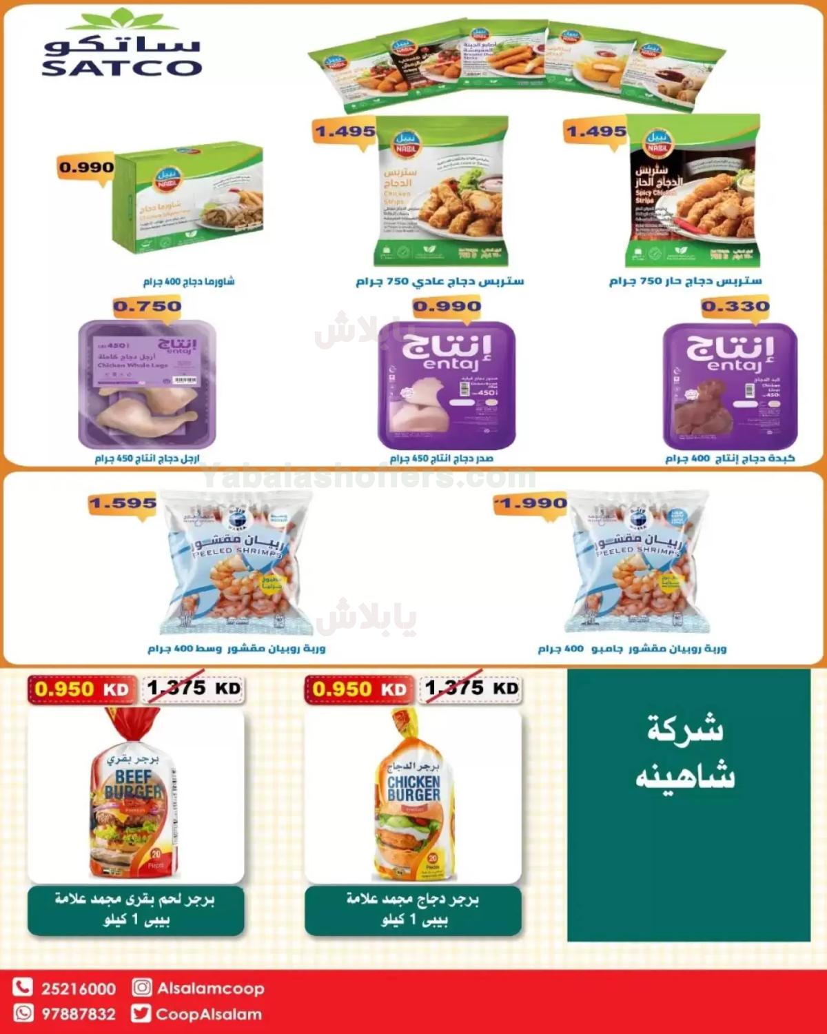 صفحة 7