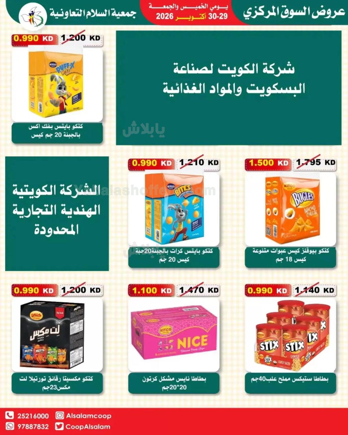 صفحة 13