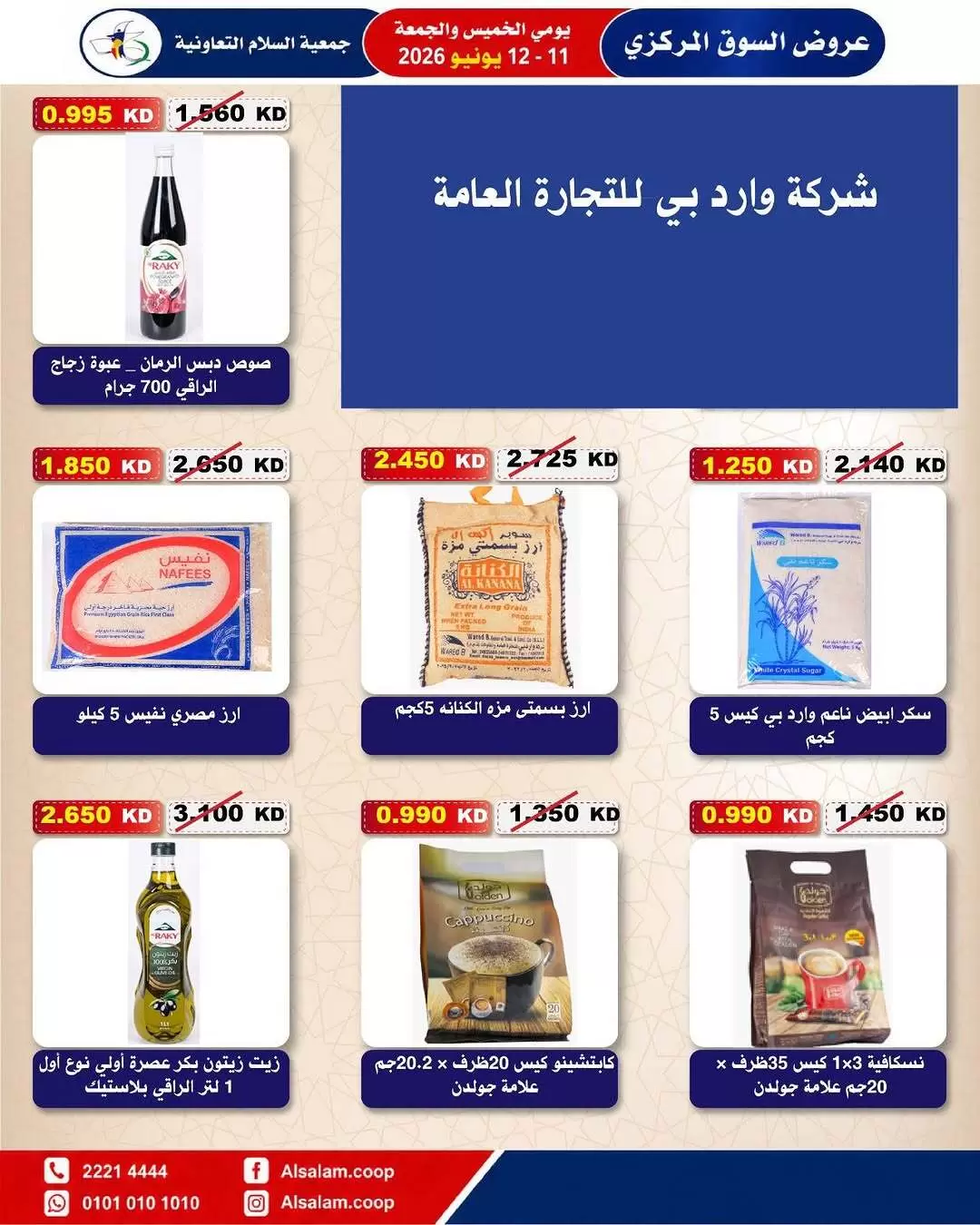 صفحة 13