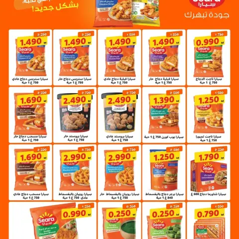 صفحة 13