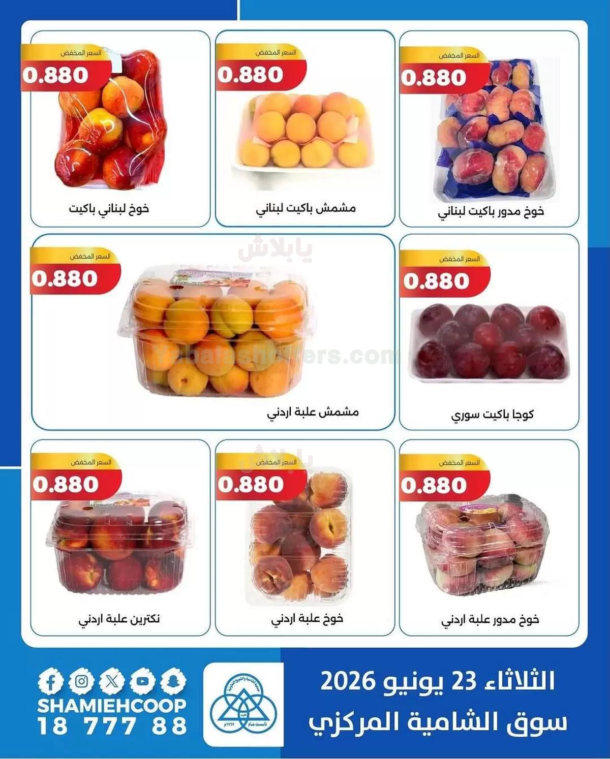 صفحة 3