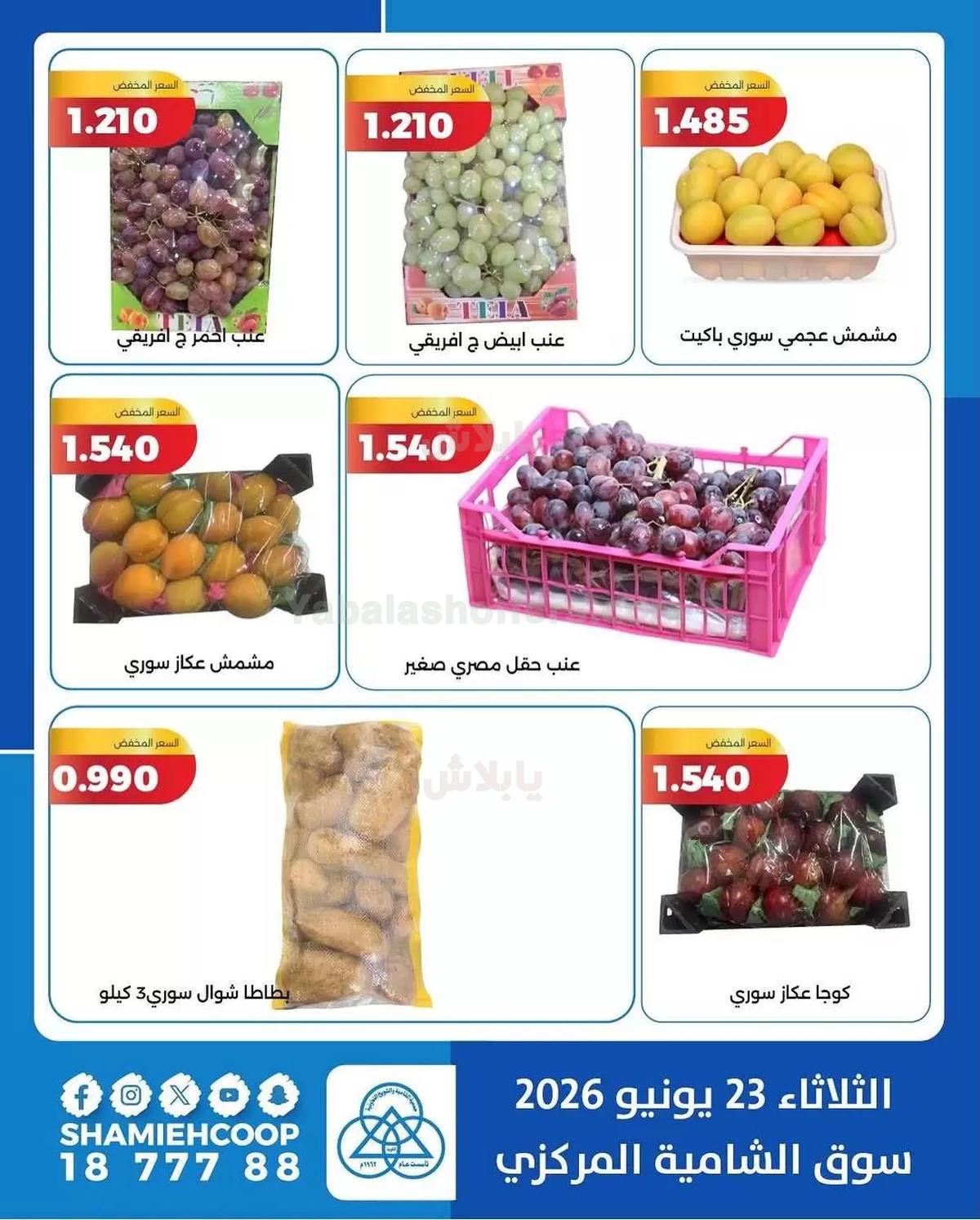 صفحة 5
