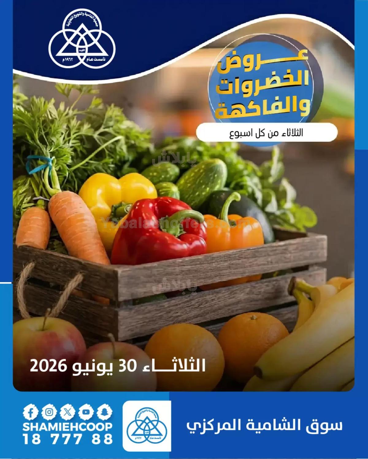 عروض الثلاثاء من جمعية الشامية والشويخ