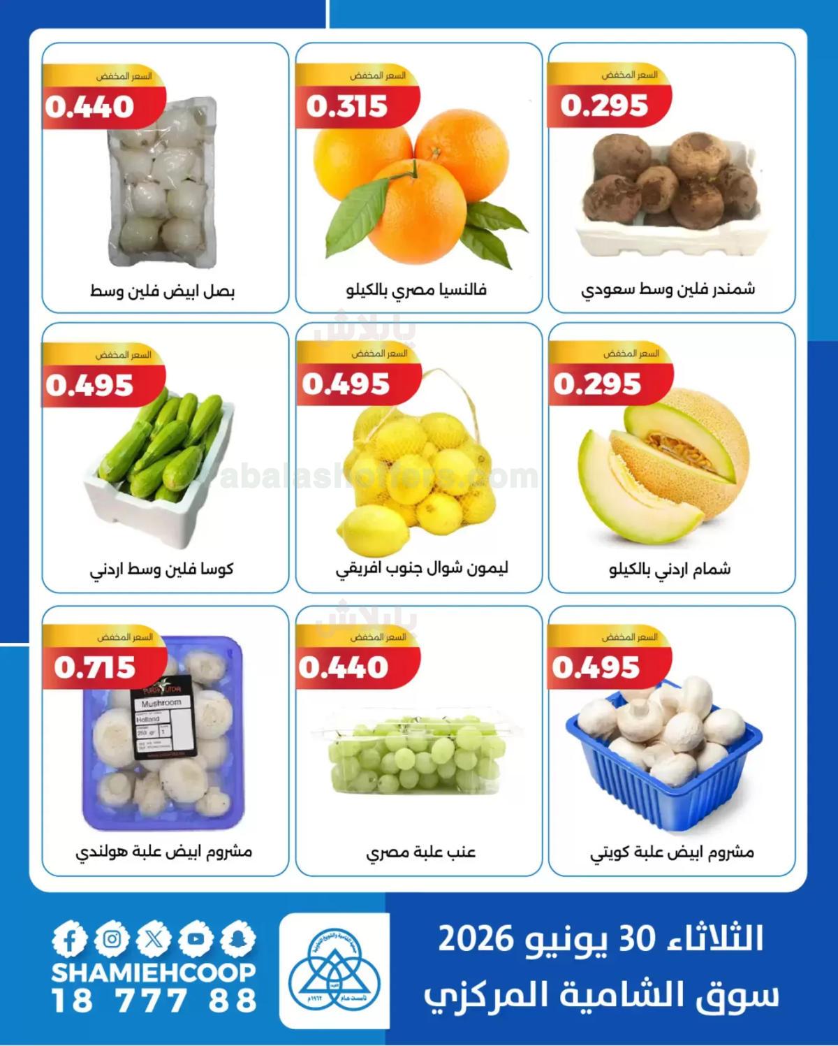 صفحة 3