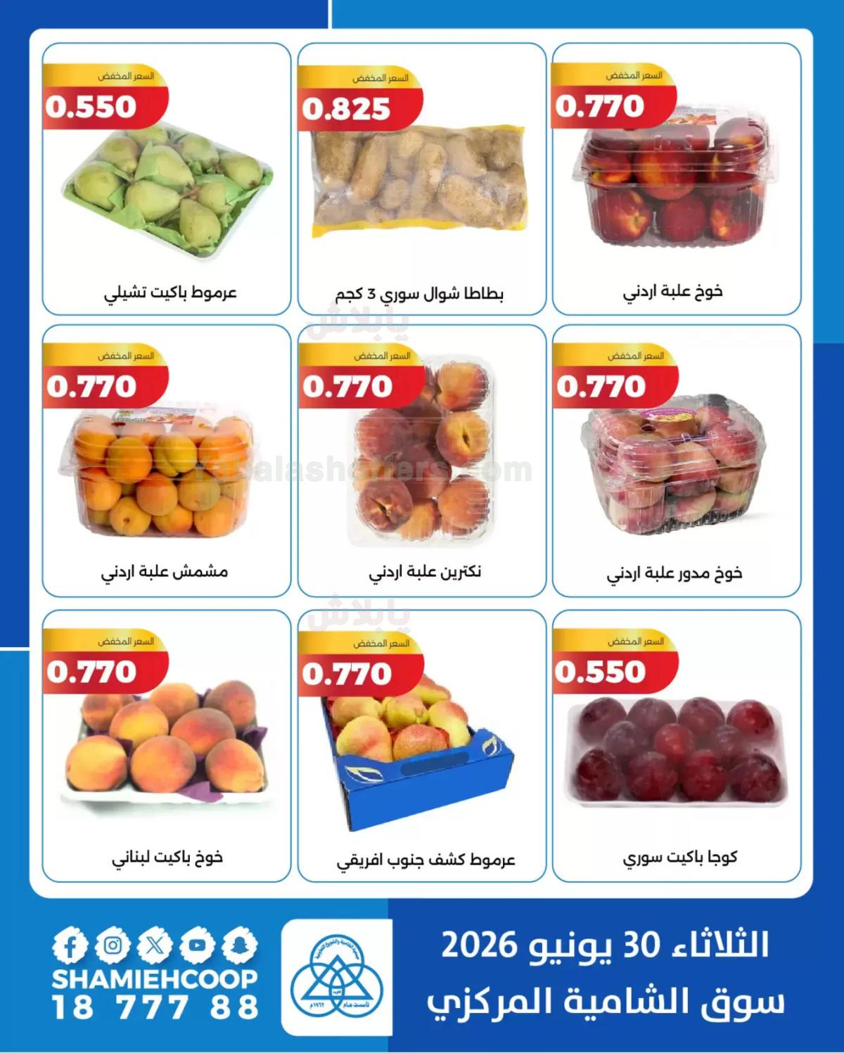 صفحة 4