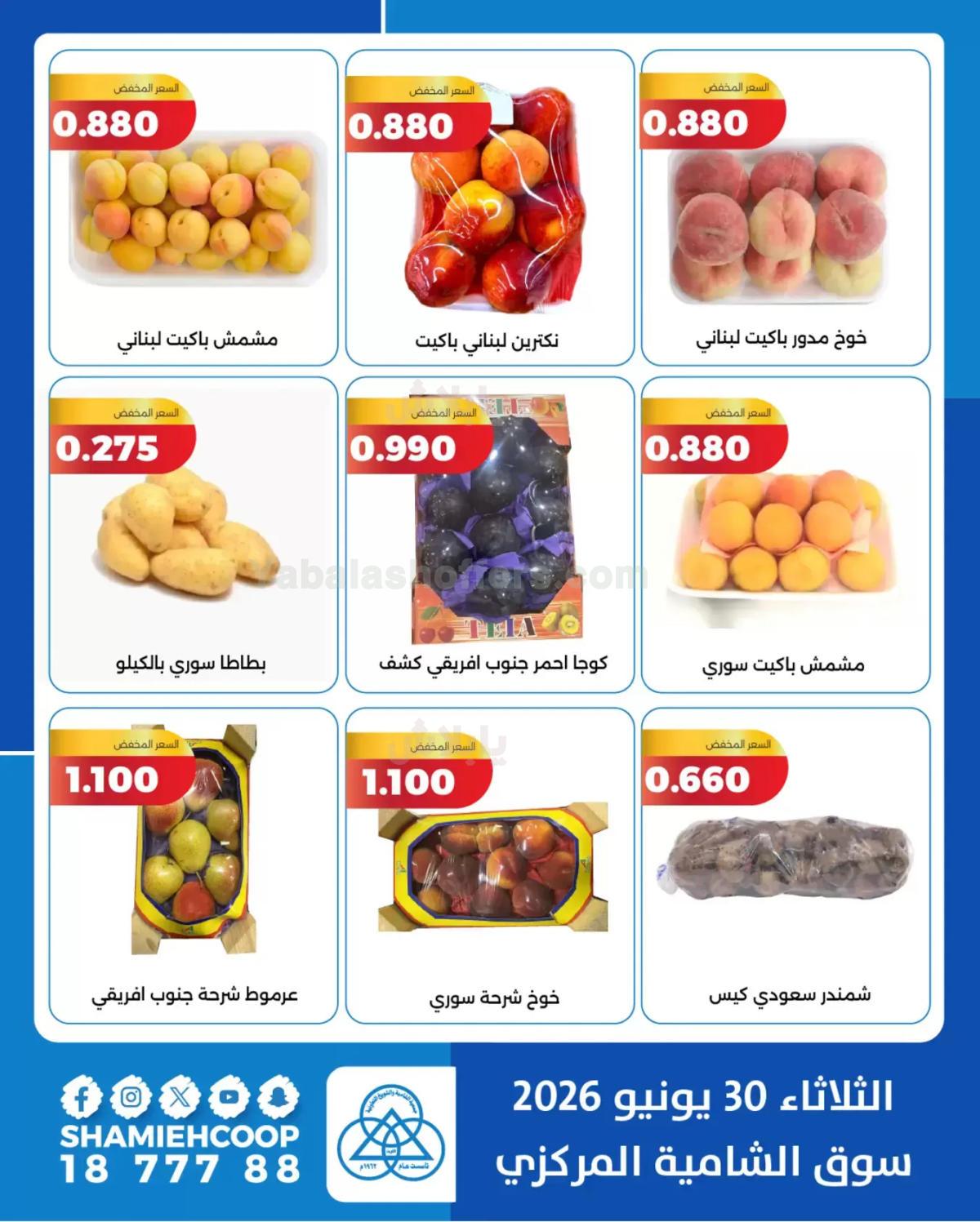 صفحة 5