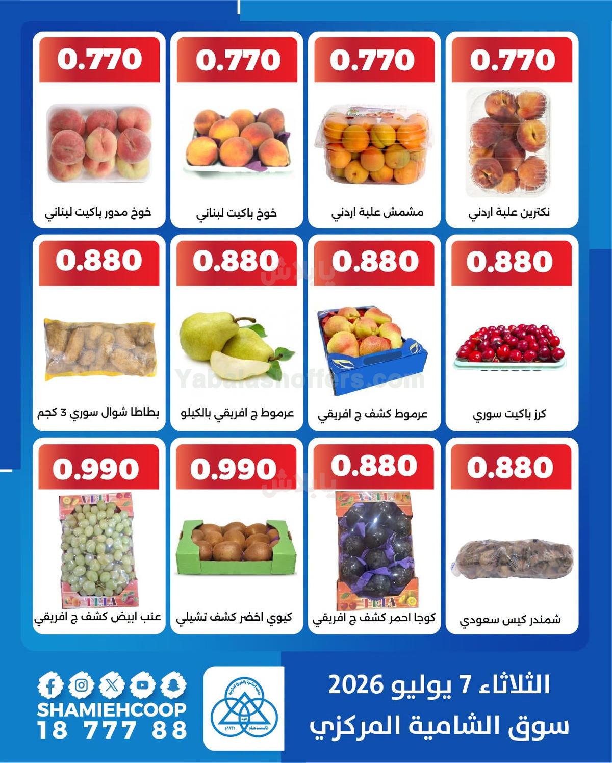 صفحة 4