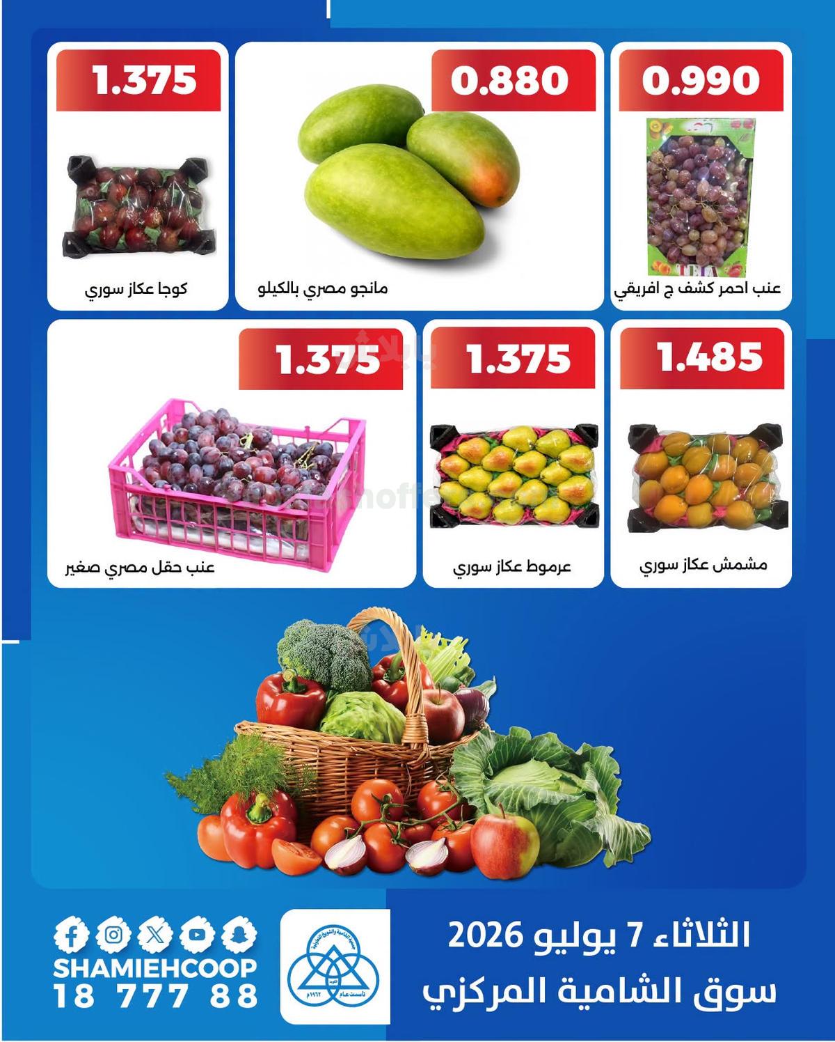 صفحة 5
