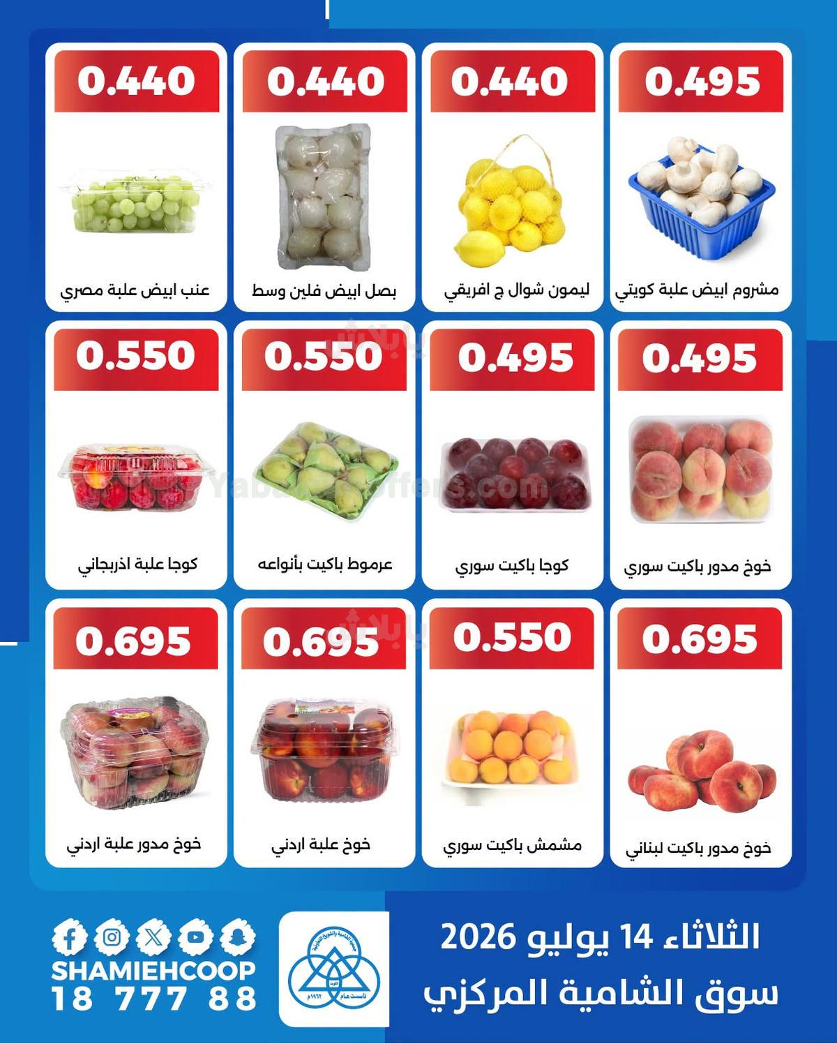 صفحة 3