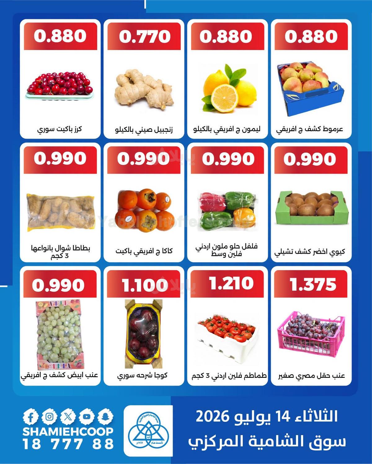 صفحة 4