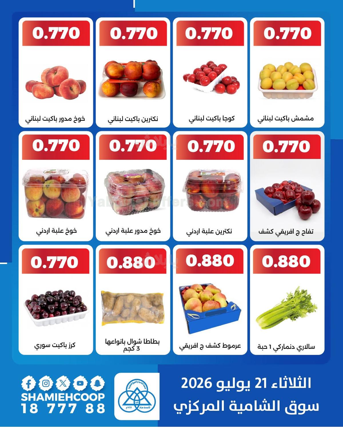 صفحة 2