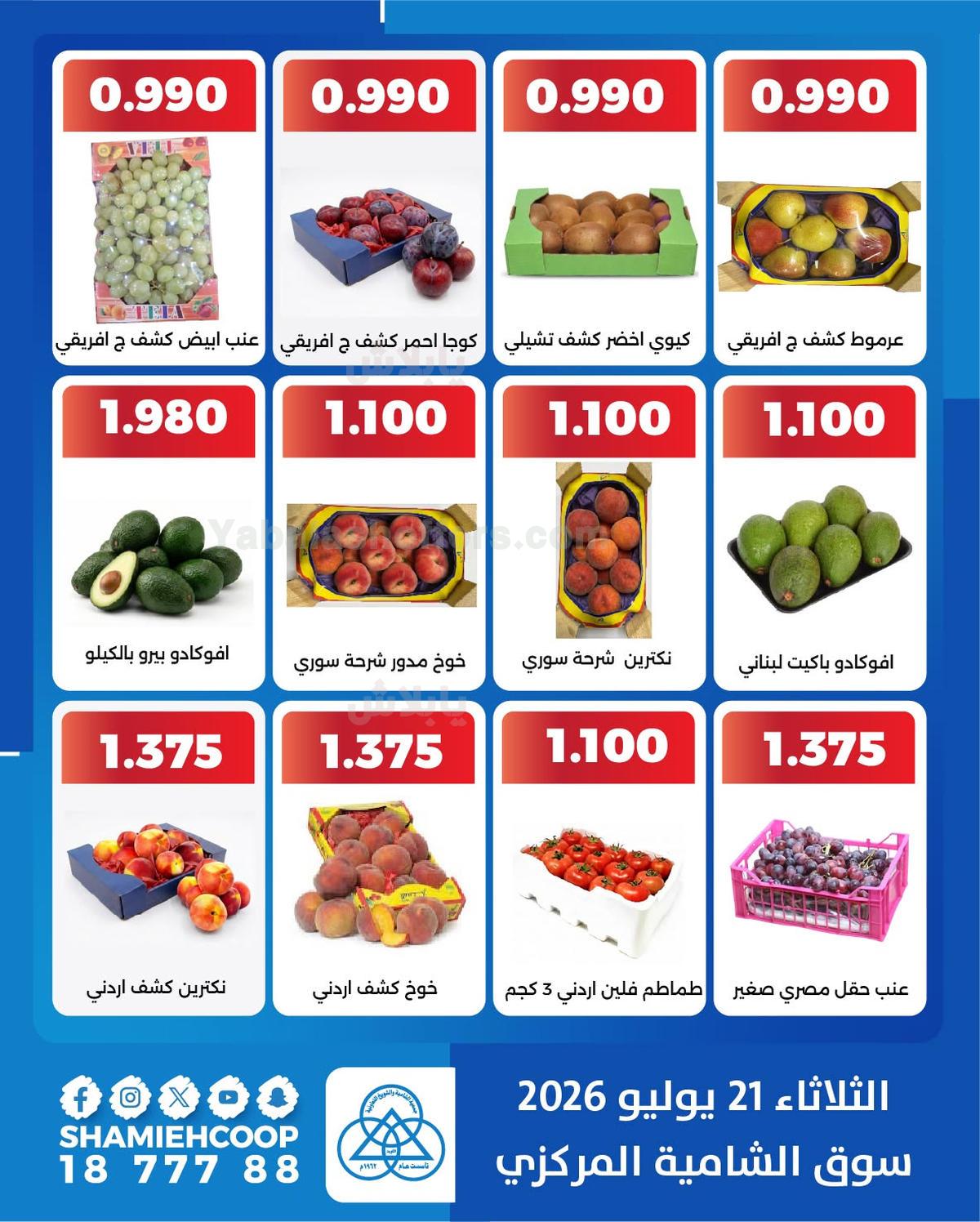 صفحة 3