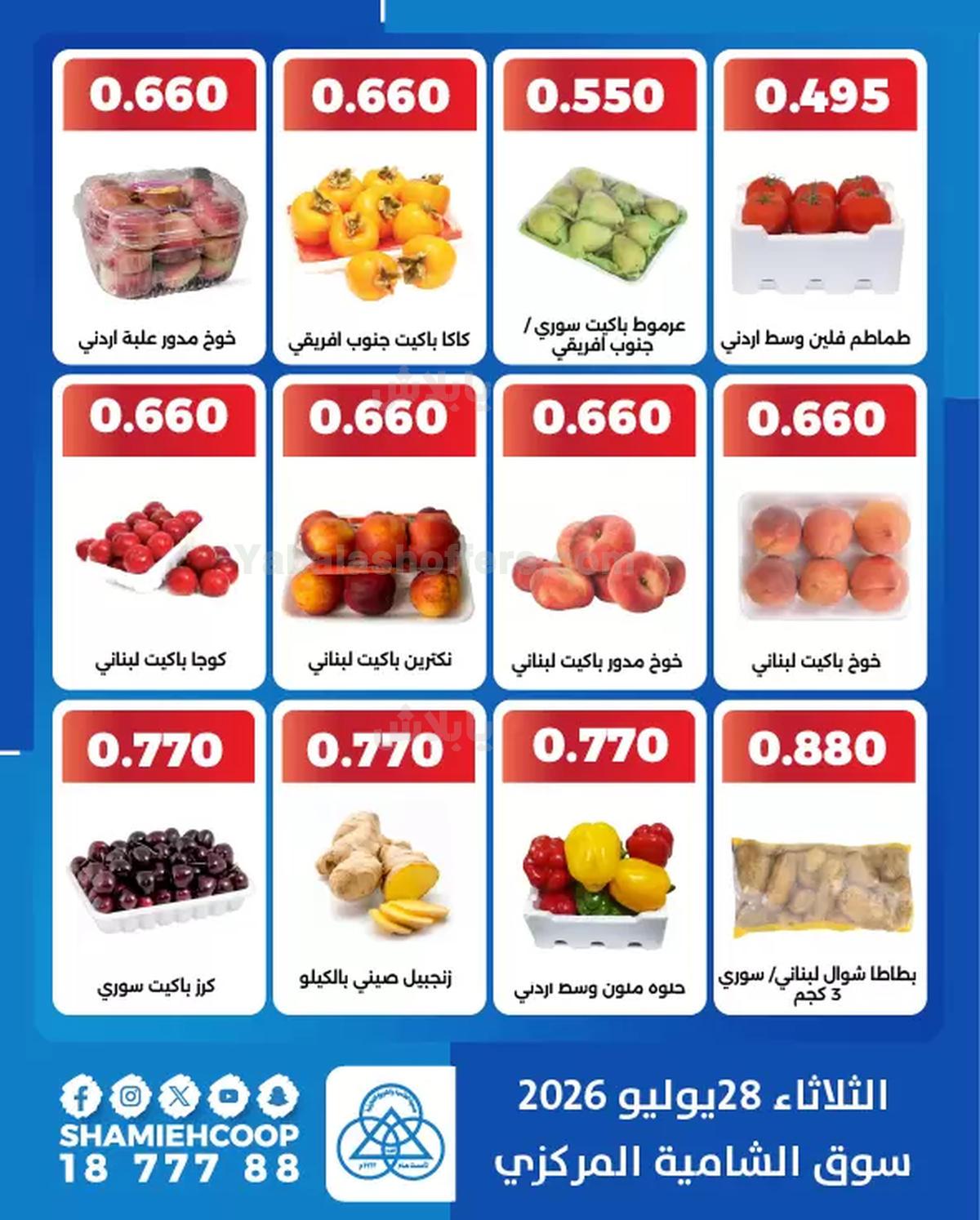 صفحة 3