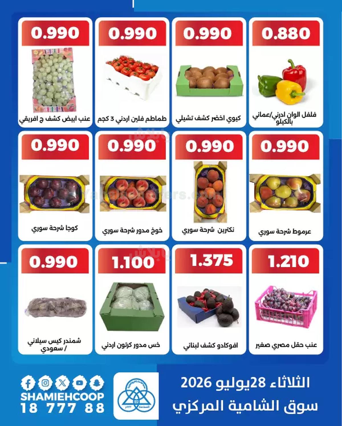 صفحة 4