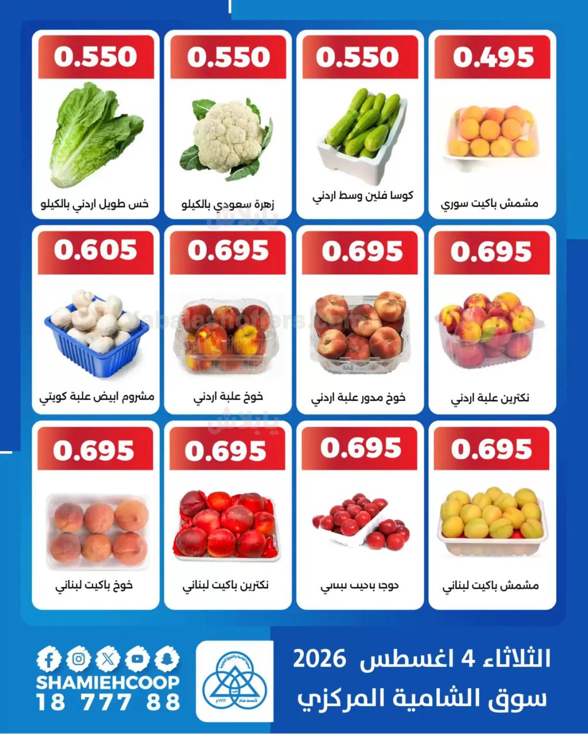 صفحة 3