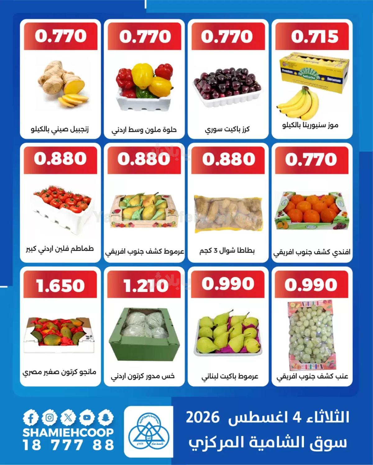 صفحة 4