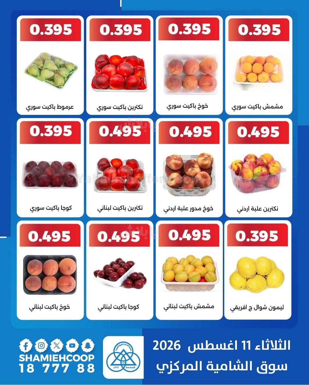 صفحة 3