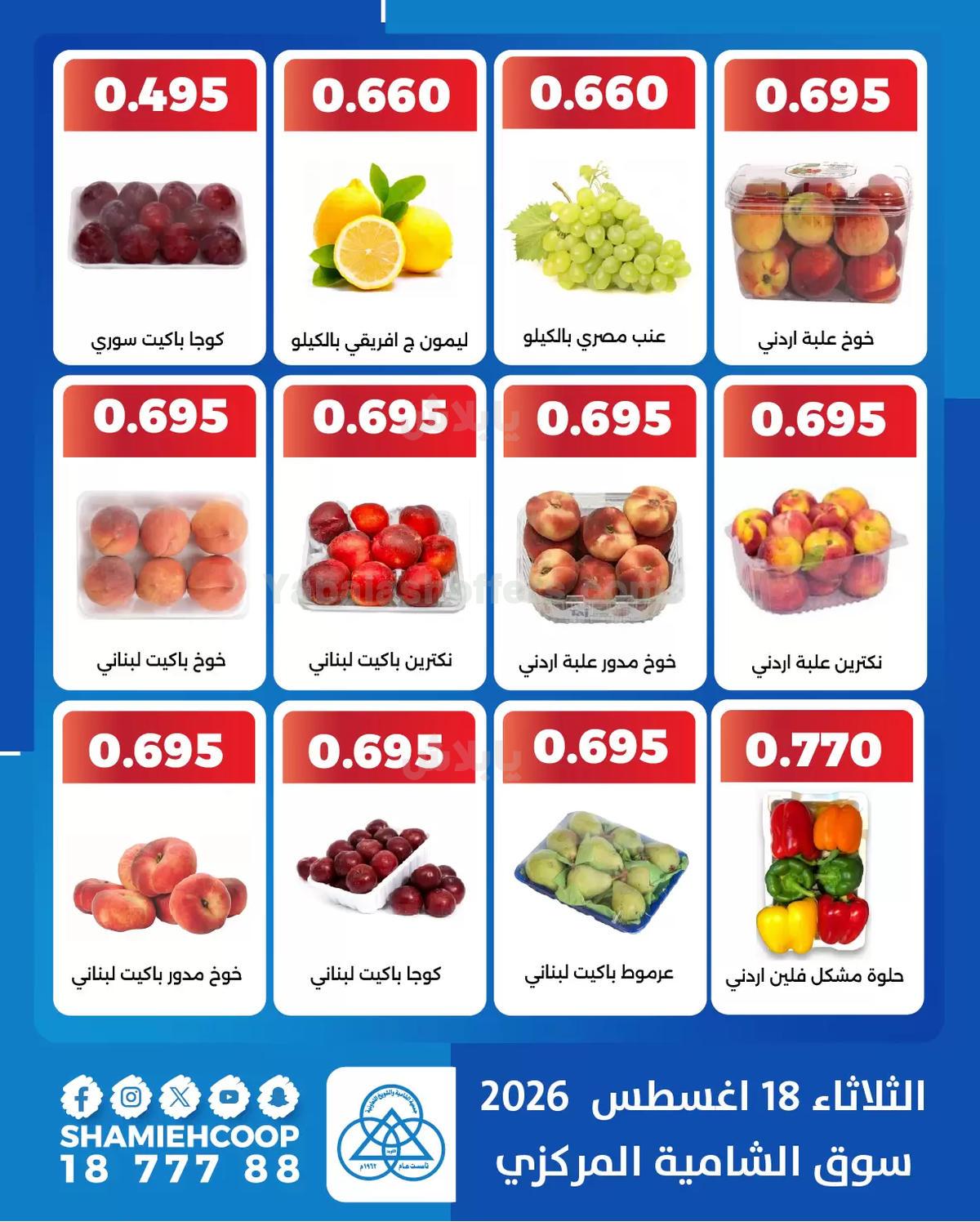 صفحة 3