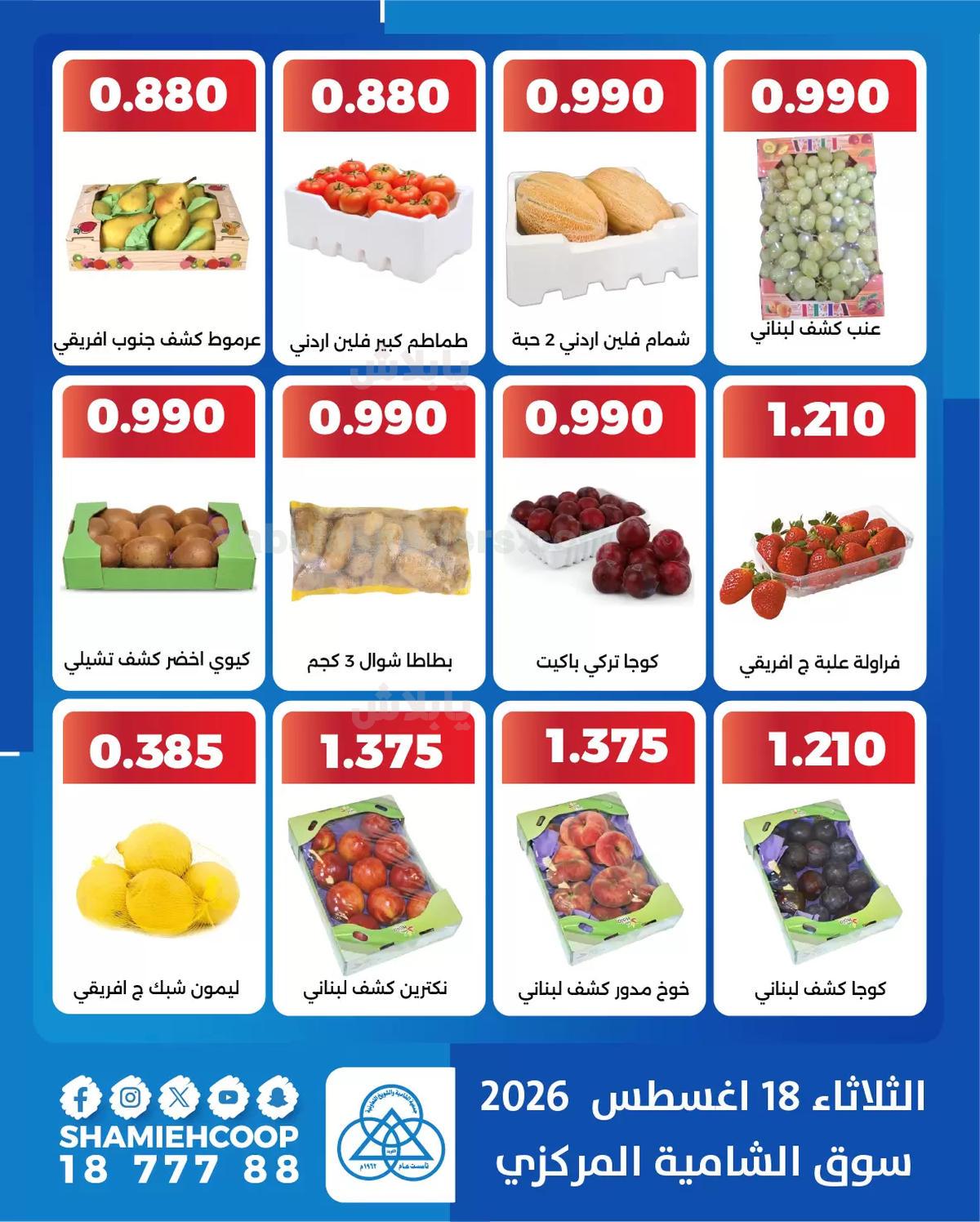 صفحة 4
