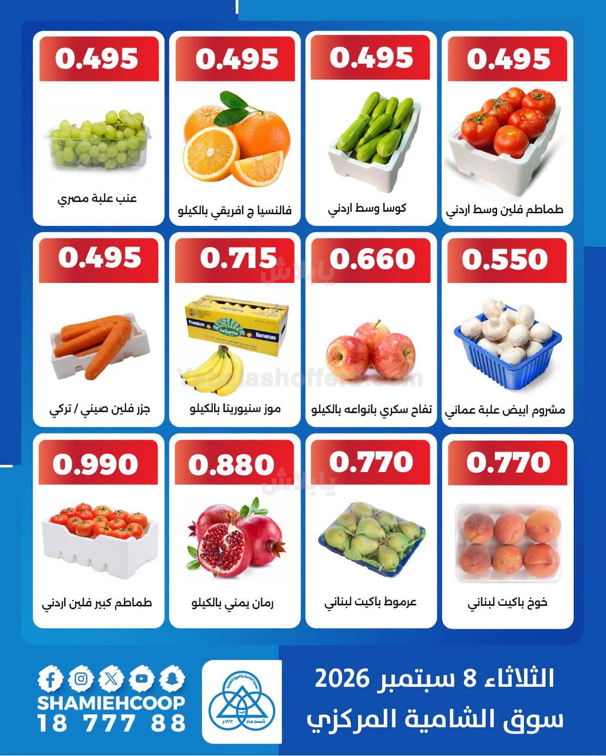 صفحة 3