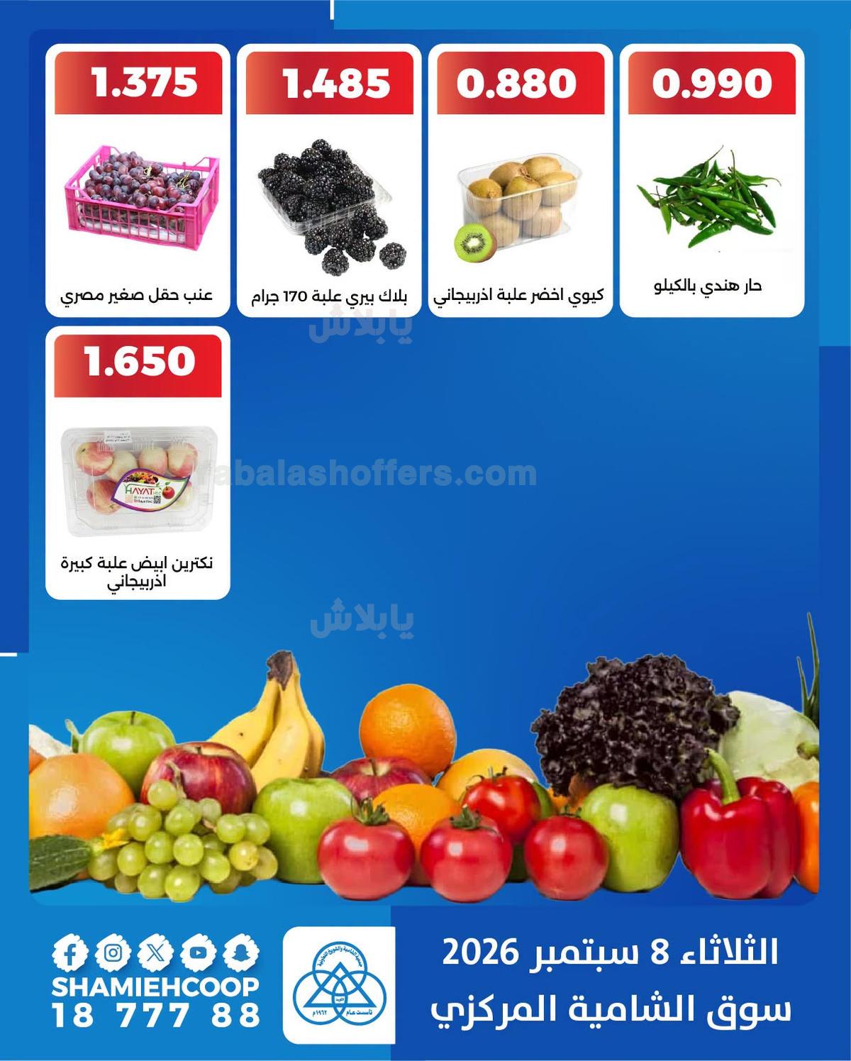صفحة 4